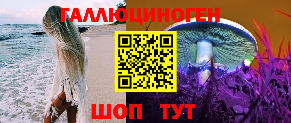 Галлюциногенные грибы Psilocybine cubensis Краснодар